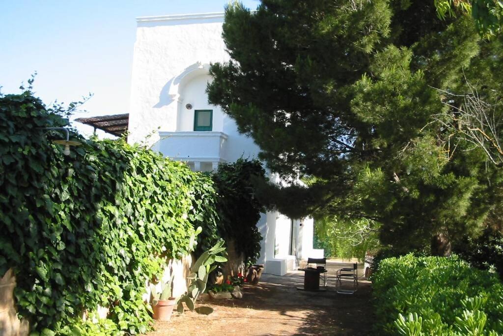 הוילה גאליפולי Casa Colonica מראה חיצוני תמונה