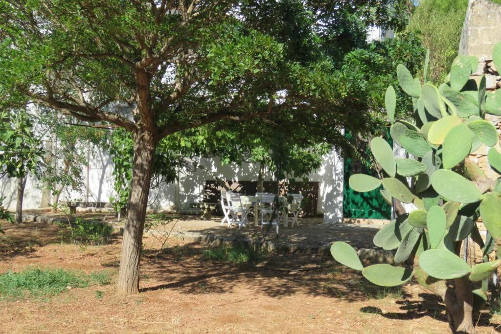 הוילה גאליפולי Casa Colonica מראה חיצוני תמונה