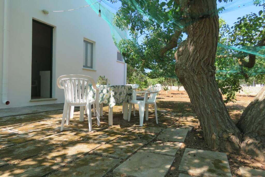 הוילה גאליפולי Casa Colonica מראה חיצוני תמונה