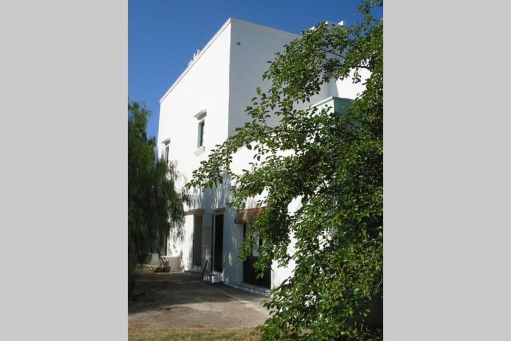 הוילה גאליפולי Casa Colonica מראה חיצוני תמונה