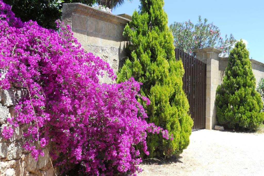 הוילה גאליפולי Casa Colonica מראה חיצוני תמונה