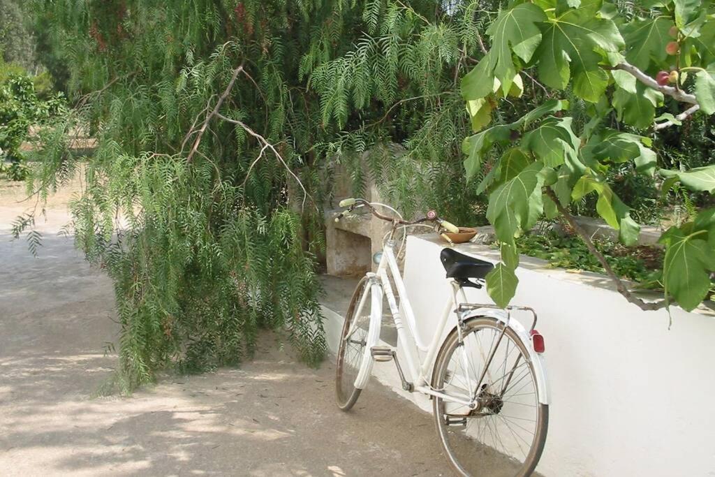 הוילה גאליפולי Casa Colonica מראה חיצוני תמונה